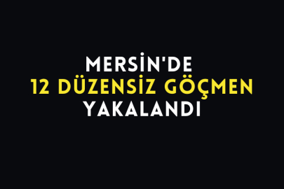 12 Düzensiz Göçmen Yakalandı