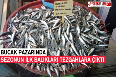 Bucak Pazarında Sezonun İlk Balıkları Tezgahlara Çıktı