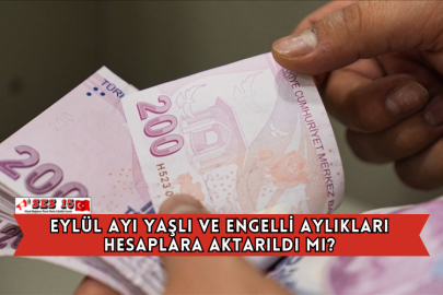Eylül Ayı Yaşlı ve Engelli Aylıkları Hesaplara Aktarıldı Mı?