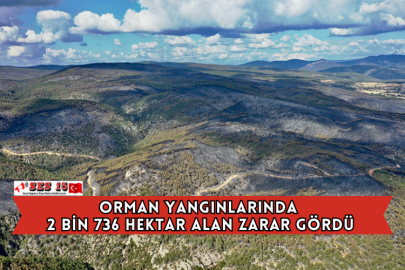 Orman Yangınlarında 2 Bin 736 Hektar Alan Zarar Gördü