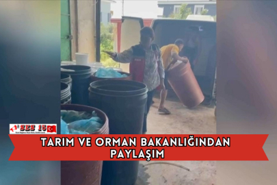 Tarım ve Orman Bakanlığından Hatay'daki Gıda Denetimine İlişkin Paylaşım