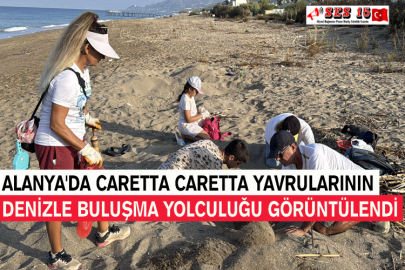 Alanya'da Caretta Caretta Yavrularının Denizle Buluşma Yolculuğu Görüntülendi