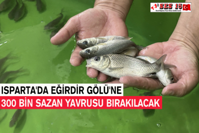 Isparta'da Eğirdir Gölü'ne 300 Bin Sazan Yavrusu Bırakılacak