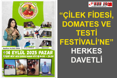 “Çilek Fidesi, Domates Ve Testi Festivali’ne” Herkes Davetli