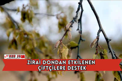 Zirai Dondan Etkilenen Çiftçilere Destek