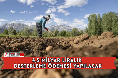 4,5 Milyar Liralık Destekleme Ödemesi Yapılacak