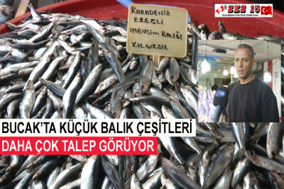 Bucak’ta Küçük Balık Çeşitleri Daha Çok Talep Görüyor