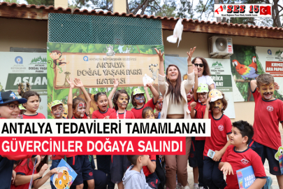 Antalya Tedavileri Tamamlanan Güvercinler Doğaya Salındı