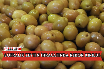 Sofralık Zeytin İhracatında Rekor Kırıldı