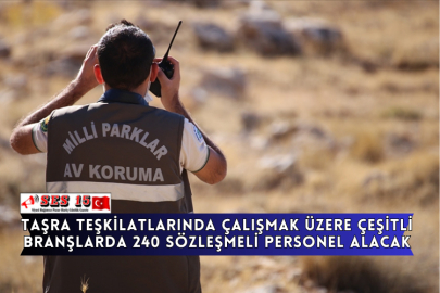 Taşra Teşkilatlarında Çalışmak Üzere Çeşitli Branşlarda 240 Sözleşmeli Personel Alacak
