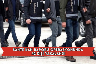 Sahte Kan Raporu Operasyonunda 42 Kişi Yakalandı