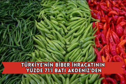 Türkiye'nin Biber İhracatının Yüzde 71'i Batı Akdeniz'den