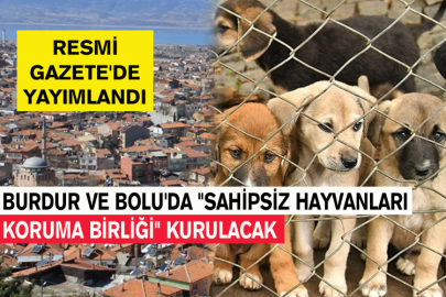 Burdur Ve Bolu'da "Sahipsiz Hayvanları Koruma Birliği" Kurulacak