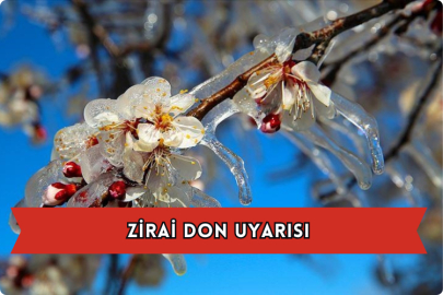 Zirai Don Uyarısı