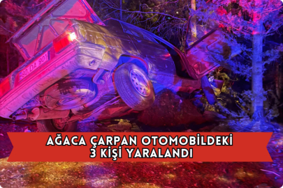 Ağaca Çarpan Otomobildeki 3 Kişi Yaralandı