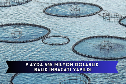 9 Ayda 545 Milyon Dolarlık Balık İhracatı Yapıldı
