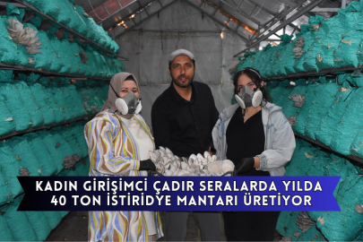 Afyonkarahisarlı Kadın Girişimci Çadır Seralarda Yılda 40 Ton İstiridye Mantarı Üretiyor