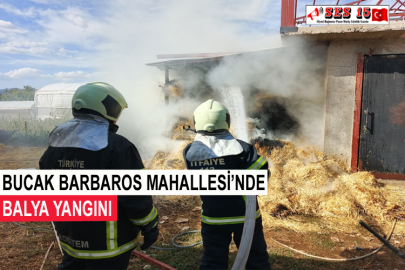 Bucak Barbaros Mahallesi'nde Balya Yangını