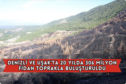 Denizli ve Uşak'ta 20 Yılda 306 Milyon Fidan Toprakla Buluşturuldu