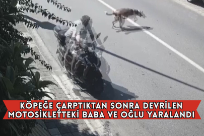 Köpeğe Çarptıktan Sonra Devrilen Motosikletteki Baba ve Oğlu Yaralandı