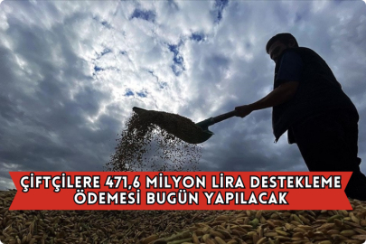 Çiftçilere 471,6 Milyon Lira Destekleme Ödemesi Bugün Yapılacak