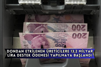 Zirai Dondan Etkilenen Üreticilere 13,2 Milyar Lira Destek Ödemesi Yapılmaya Başlandı