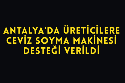 Antalya'da Üreticilere Ceviz Soyma Makinesi Desteği Verildi