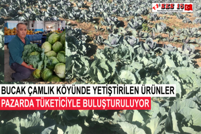 Bucak Çamlık Köyünde Yetiştirilen Ürünler Pazarda Tüketiciyle Buluşturuluyor