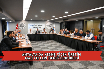 Antalya'da Kesme Çiçek Üretim Maliyetleri Değerlendirildi