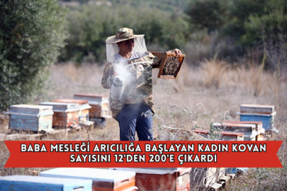 Baba Mesleği Arıcılığa Başlayan Kadın Kovan Sayısını 12'den 200'e Çıkardı