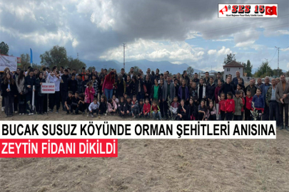 Bucak Susuz Köyünde Orman Şehitleri Anısına Zeytin Fidanı Dikildi