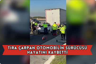 Tıra Çarpan Otomobilin Sürücüsü Hayatını Kaybetti