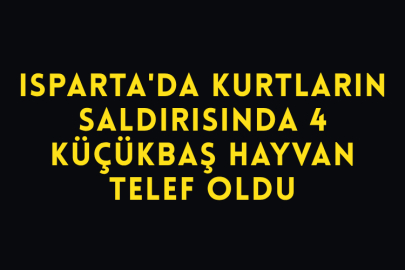 Isparta'da Kurtların Saldırısında 4 Küçükbaş Hayvan Telef Oldu