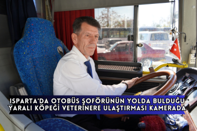 Isparta'da Otobüs Şoförünün Yolda Bulduğu Yaralı Köpeği Veterinere Ulaştırması Kamerada