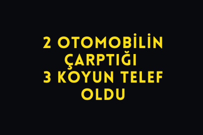 2 Otomobilin Çarptığı 3 Koyun Telef Oldu