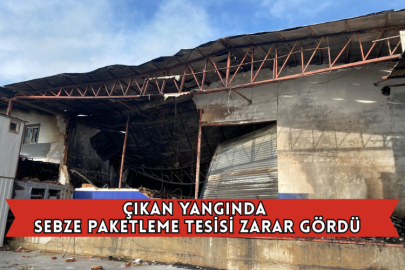 Çıkan Yangında Sebze Paketleme Tesisi Zarar Gördü