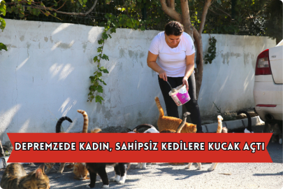 Depremzede Kadın, Sahipsiz Kedilere Kucak Açtı