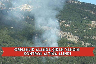 Ormanlık Alanda Çıkan Yangın Kontrol Altına Alındı
