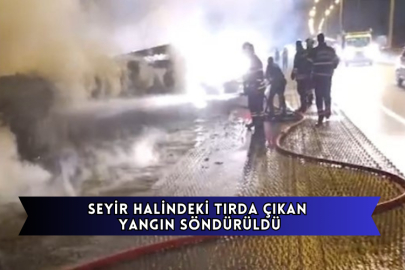 Seyir Halindeki Tırda Çıkan Yangın Söndürüldü