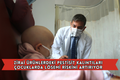 Zirai Ürünlerdeki Pestisit Kalıntıları Çocuklarda Lösemi Riskini Artırıyor