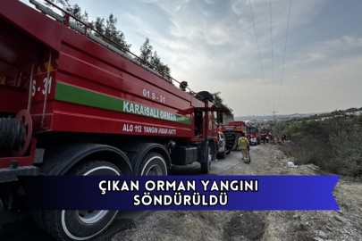 Çıkan Orman Yangını Söndürüldü