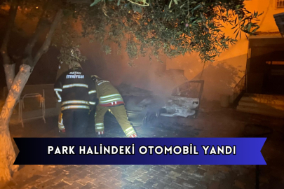 Park Halindeki Otomobil Yandı