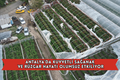 Antalya'da Kuvvetli Sağanak ve Rüzgar Hayatı Olumsuz Etkiliyor