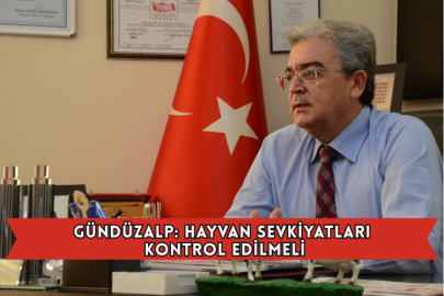 Gündüzalp: Hayvan Sevkiyatları Kontrol Edilmeli
