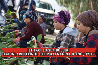 İstilacı Su Sümbülleri Kadınların Elinde Gelir Kaynağına Dönüşüyor