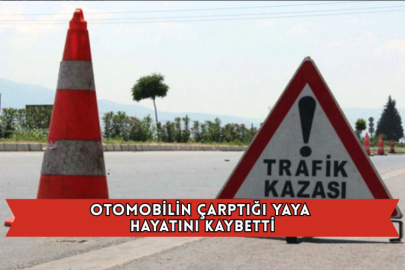 Otomobilin Çarptığı Yaya Hayatını Kaybetti