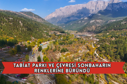Tabiat Parkı Ve Çevresi Sonbaharın Renklerine Büründü