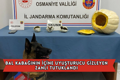 Bal Kabağının İçine Uyuşturucu Gizleyen Zanlı Tutuklandı