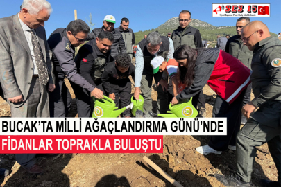 Bucak’ta Milli Ağaçlandırma Günü’nde Fidanlar Toprakla Buluştu