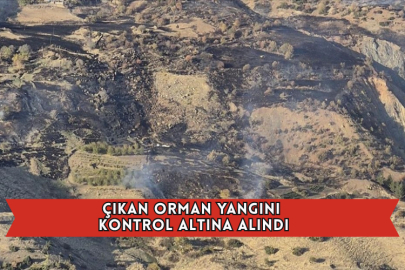 Çıkan Orman Yangını Kontrol Altına Alındı